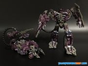 DOTM Shockwave 16178